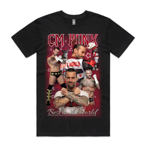 CM Punk - Best in the world Thumbnail